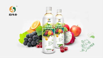 蜀陳香水果酵素保健飲品包裝設(shè)計與品牌策劃方案